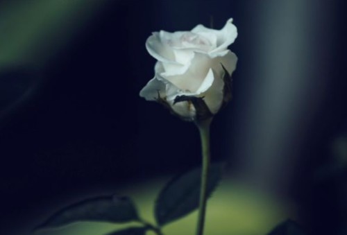 Zmarł Henryk Floryański | Kondolencje