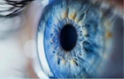 Badanie wzroku | 13-14 października